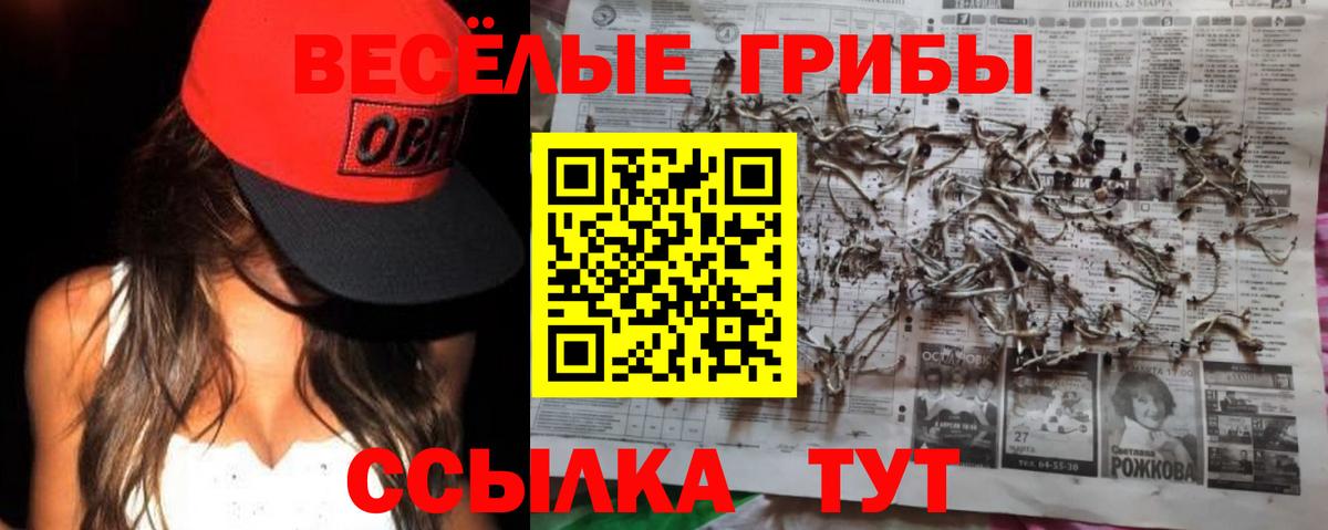 Тейково  Галлюциногенные грибы мицелий  Вход с VPN 